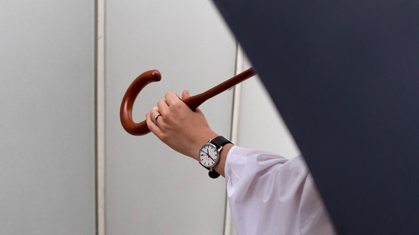Contemporary, lightweight, double layer canopy. A full-length umbrella without the weight.