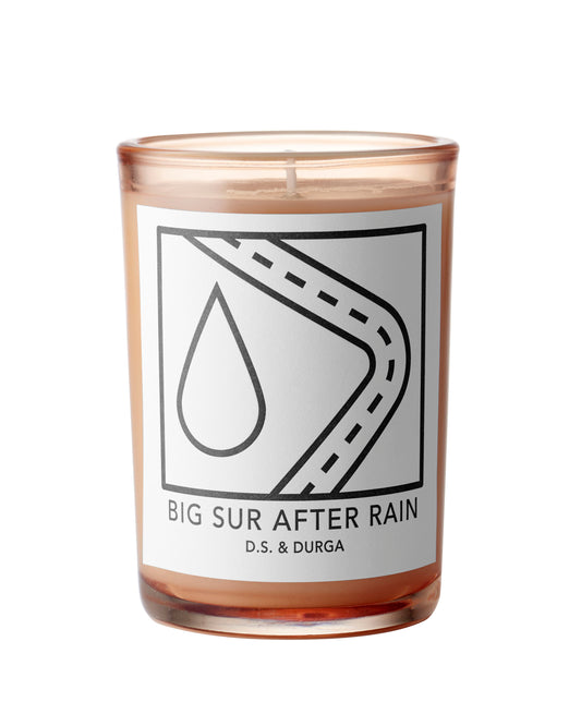 D.S. & DURGA Candle - Big Sur After Rain