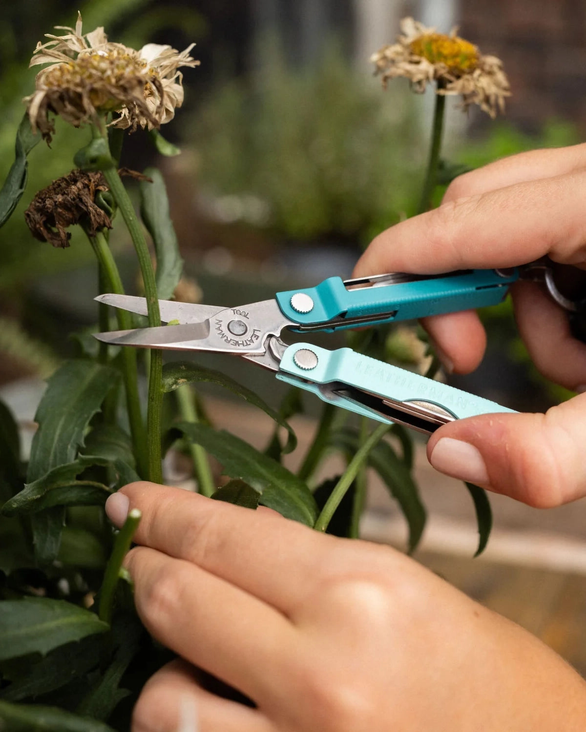 Leatherman MICRA Multi-Tool